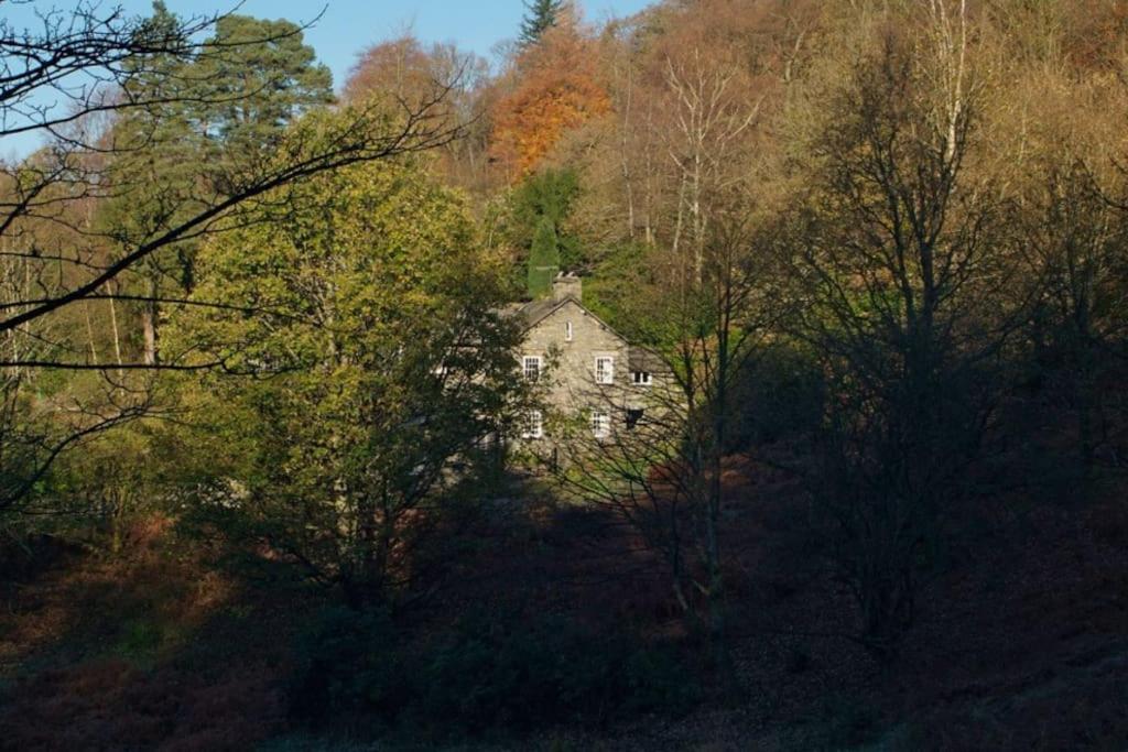 Woodland Crag Cottage