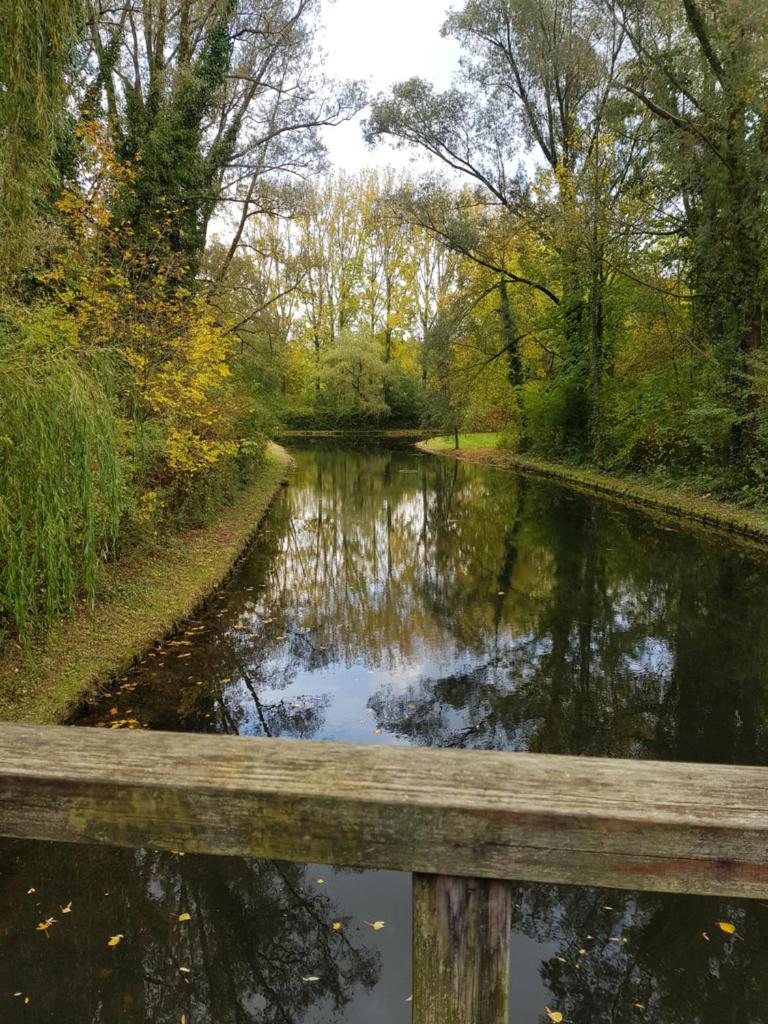 Immerloopark B&B