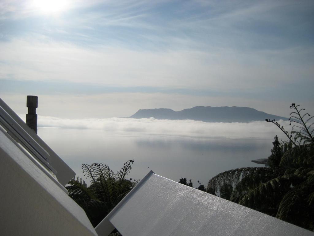 te Whare -Lake Tarawera tree-top nest (Lake Tarawera)