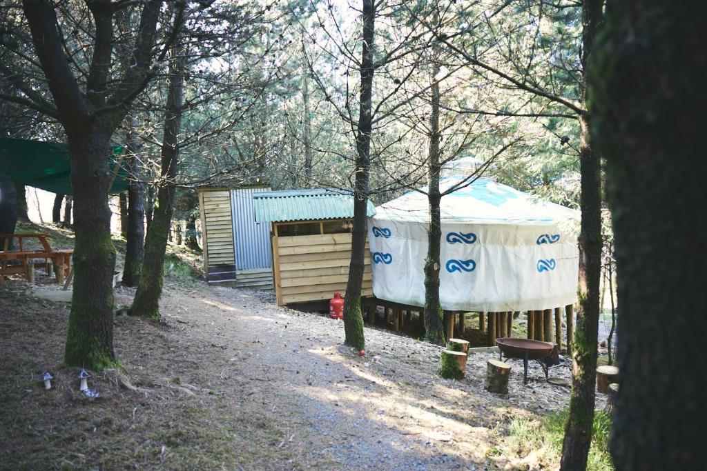 Mushroom Yurt