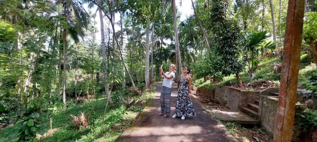 Windy Ridge Kandy