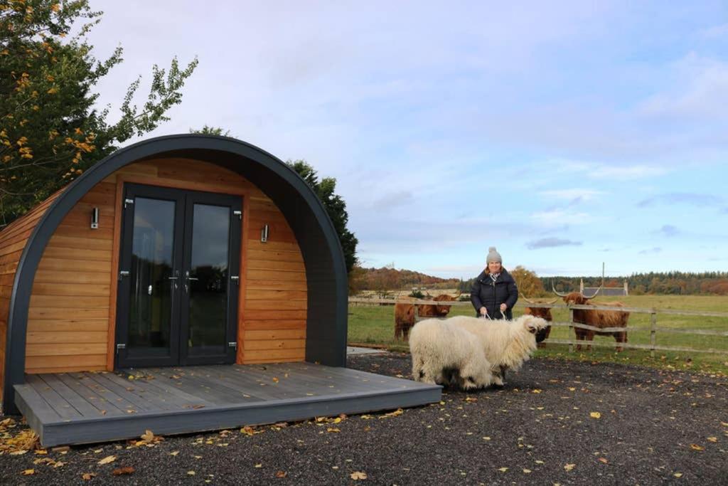 Glampods Glamping Pod - meet Highland Cows and Sheep Elgin (Elgin)
