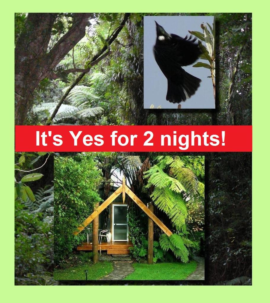 Mount Tutu Eco-Sanctuary (Ohauiti)