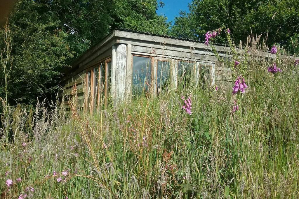 FoxesDen (South Brent)