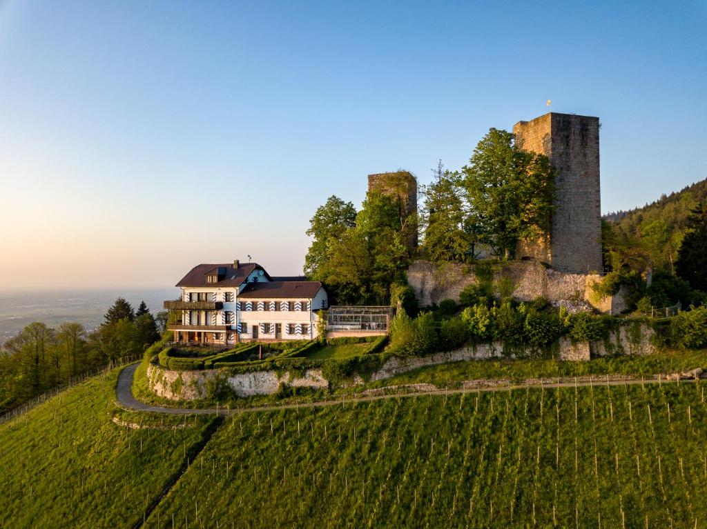 Burg Windeck ***S (Bühl)