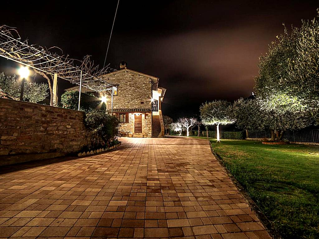La Casa Tra Gli Ulivi