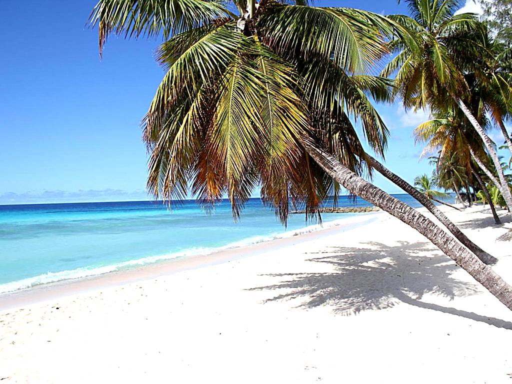Beach Guest House Cleverdale