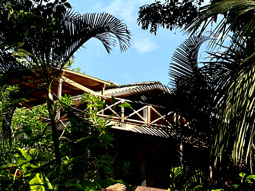 Eden Jungle Lodge