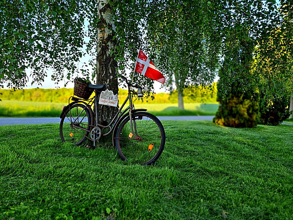 B&B Bauernhofferien auf Møn (Askeby)