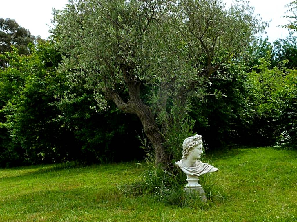 Villa Elysae