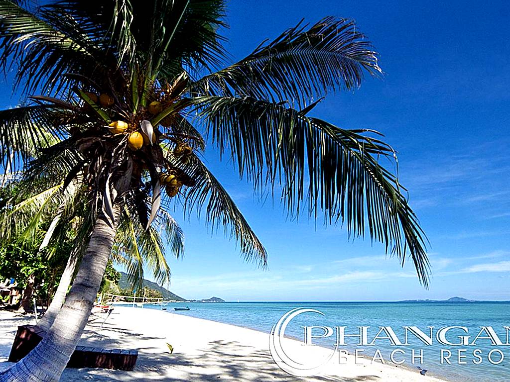 Phangan Beach Resort