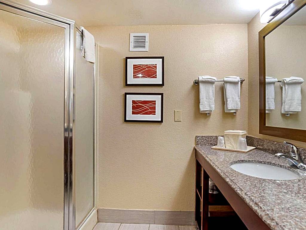 Comfort Inn University Area: King Suite - Non-Smoking (Baton Rouge)