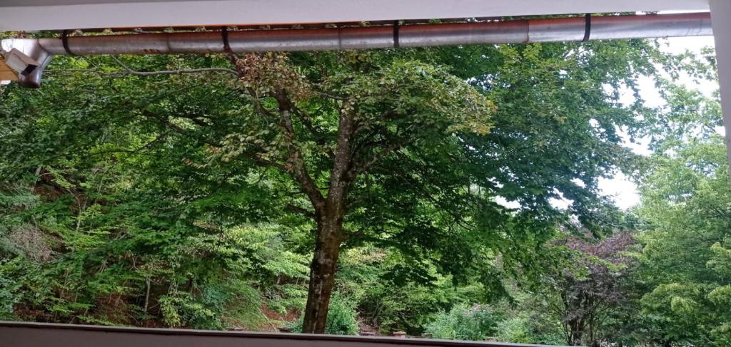 Cabana de lângă Vale