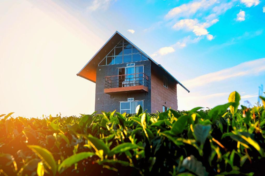 Cloud Canopy - Unique Tea Garden Resort in Vagamon