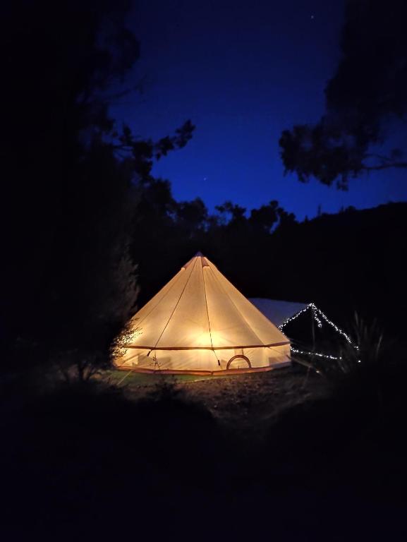 Glamping at Zeehan Bush Camp