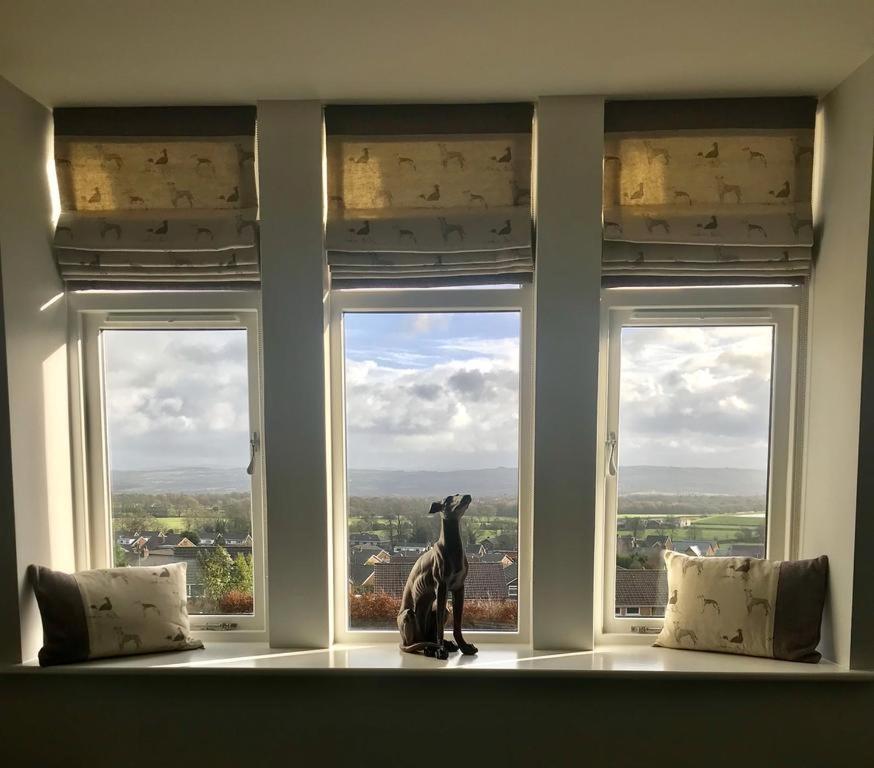 The Dog Inn