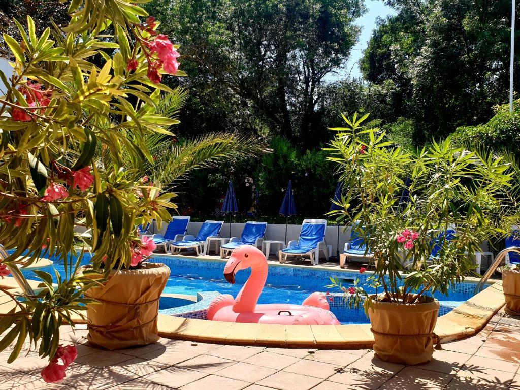 Hotel Feniks