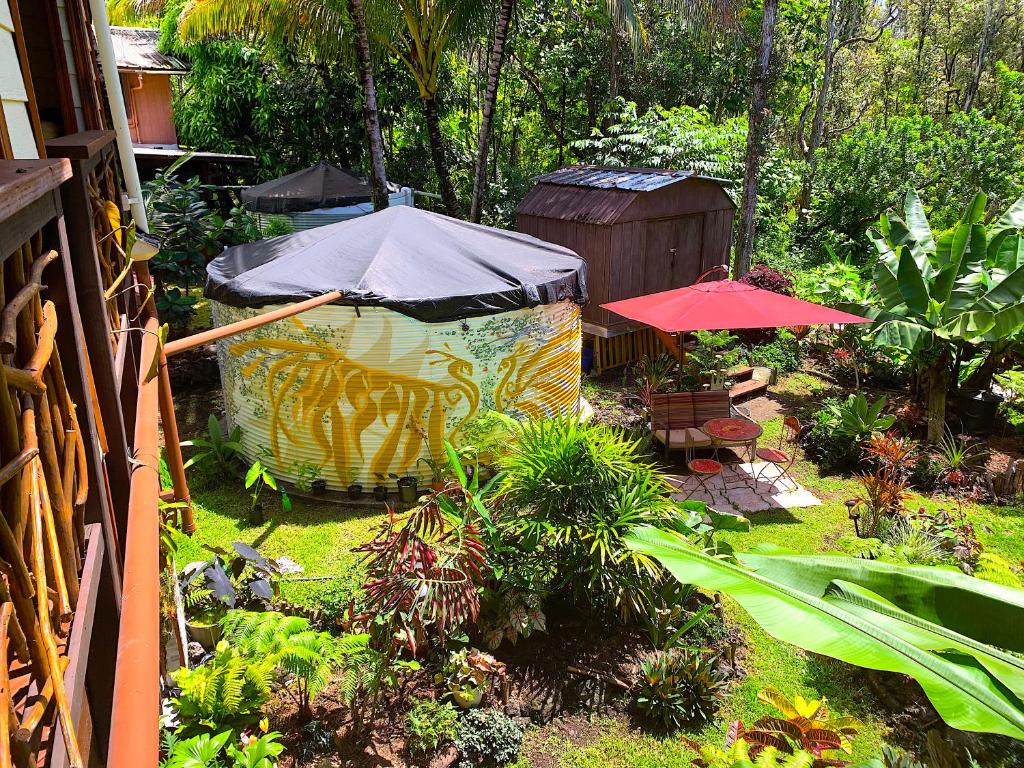 Phoenix Garden