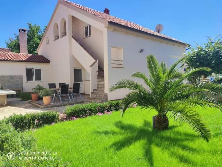 Apartments Zelic