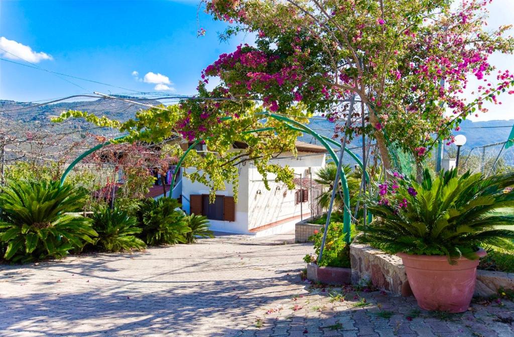 Villa Las Cycas Casa indipendente con ampi spazi esterni