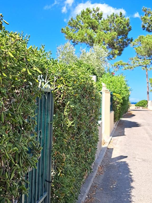 Mini villa jardin 50 m plage