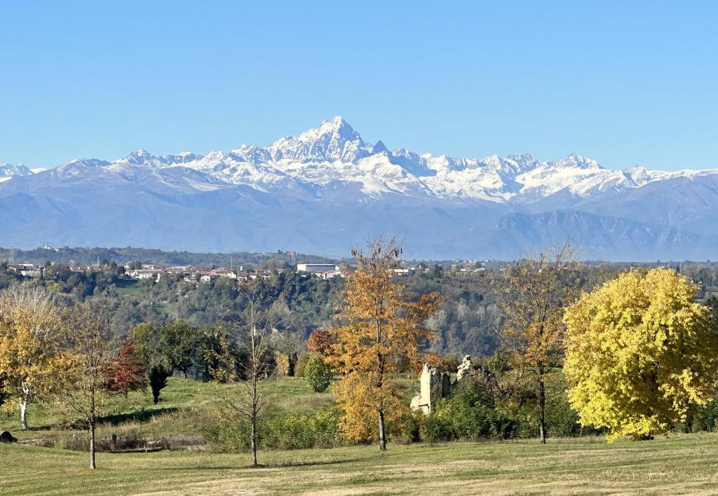 Just Langhe Casa Dolcetto