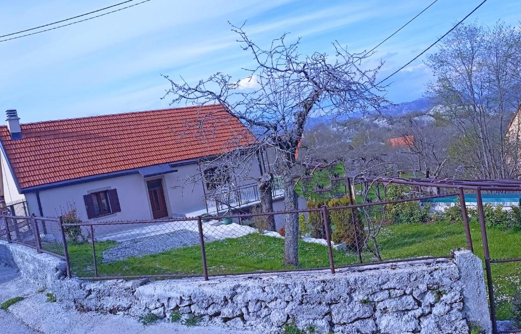 Holiday in the National park Lovcen