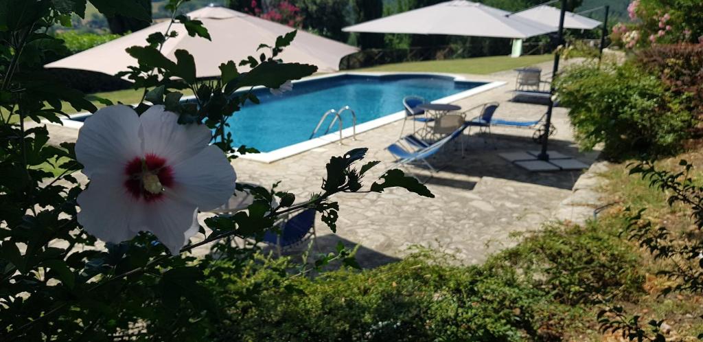 Case in campagna con piscina a Todi