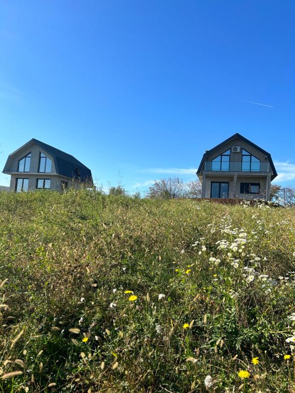 Fruska Gora Villa Medici